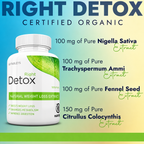 Detox Right By Nutright | Organic And Plant-Based Natural | Premium Herbal Wellness